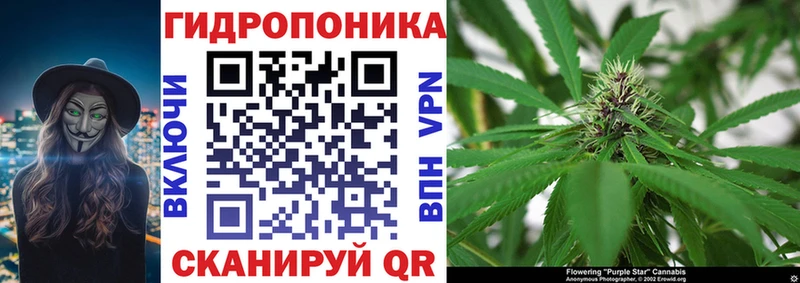 Продажа наркотиков Новоузенск Каннабис  Меф мяу мяу  Alpha-PVP  LSD-25  ГАШИШ 