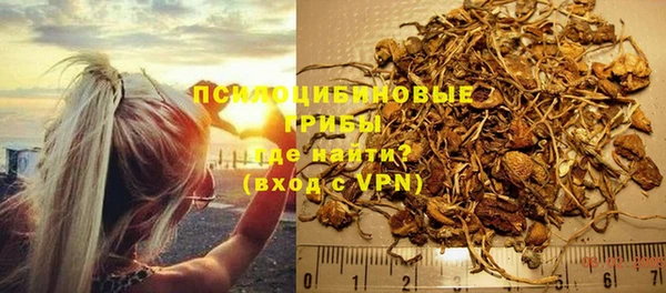 ПСИЛОЦИБИНОВЫЕ ГРИБЫ Аркадак