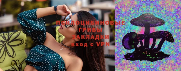 ПСИЛОЦИБИНОВЫЕ ГРИБЫ Аркадак