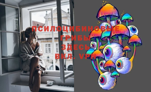 ECSTASY Заволжье