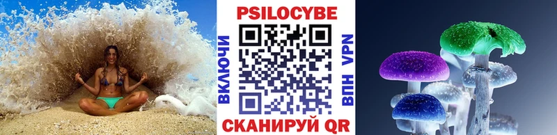 Псилоцибиновые грибы Magic Shrooms  Новоузенск 